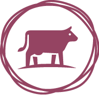 CALIBRA - Premium Line Cat - pikto beef adult